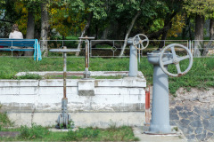 AAA_6236