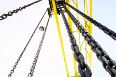 AAA_6306